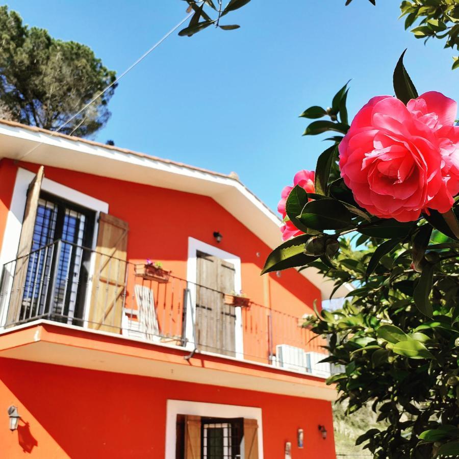B&B Il Giardino Delle Camelie Palestrina Exterior photo